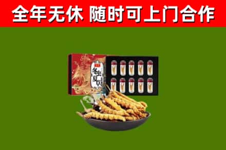 甘德回收冬虫夏草价格